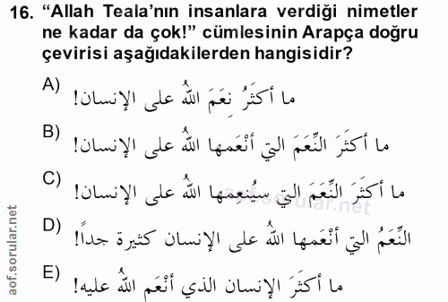 Soru 16