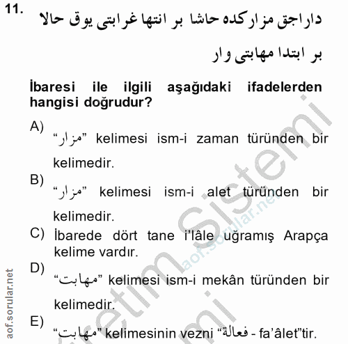 Soru 11