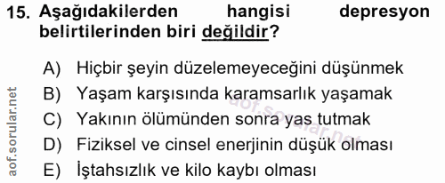 Soru 15