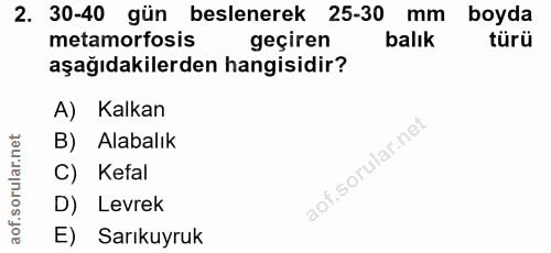 Soru 2