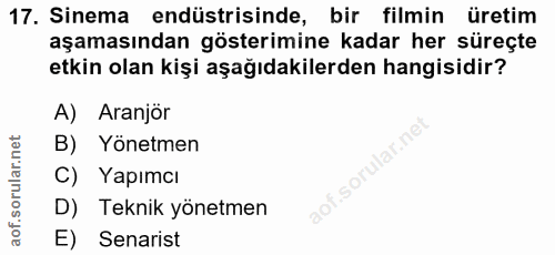 Soru 17