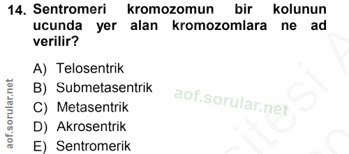 Soru 14