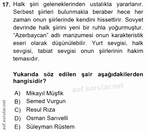 Soru 17