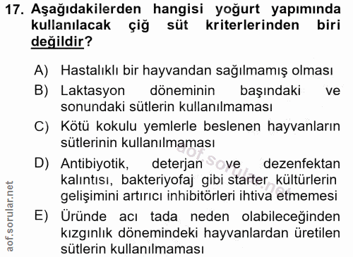 Soru 17