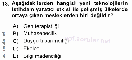 Soru 13