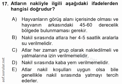 Soru 17