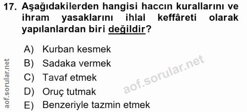 Soru 17