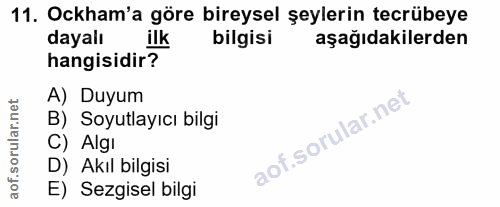 Soru 11