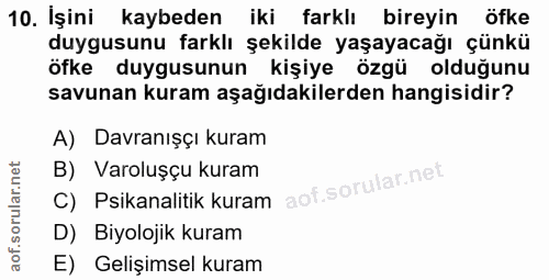 Soru 10