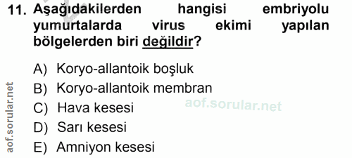 Soru 11