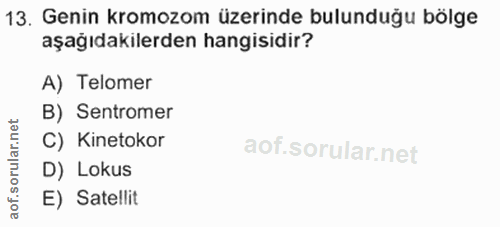 Soru 13