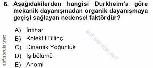 Soru 6