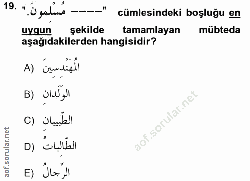 Soru 19