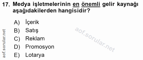 Soru 17