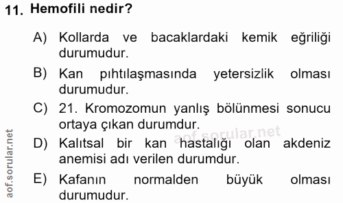 Soru 11