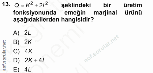 Soru 13