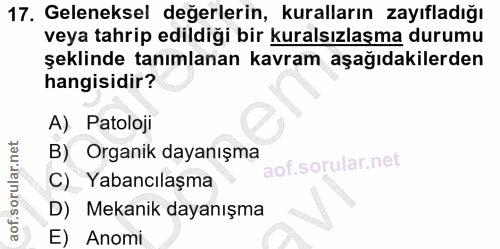 Soru 17