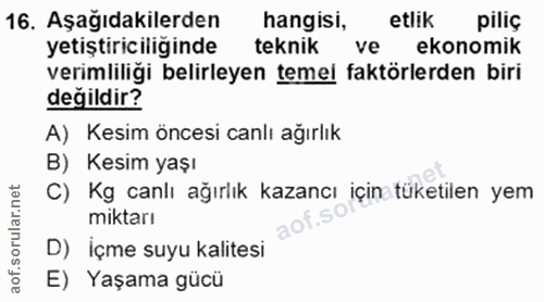 Soru 16