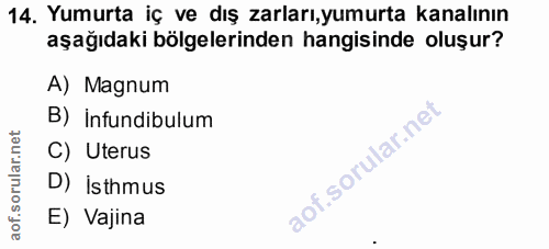 Soru 14