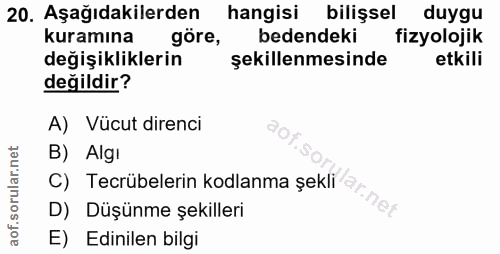 Soru 20