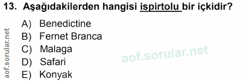 Soru 13