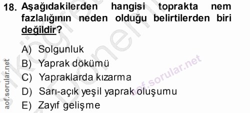 Soru 18