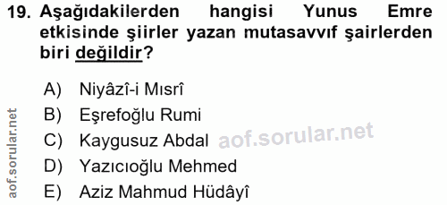 Soru 19