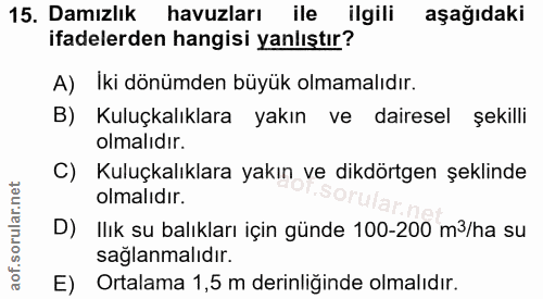 Soru 15
