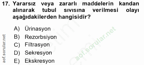 Soru 17
