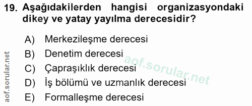Soru 19