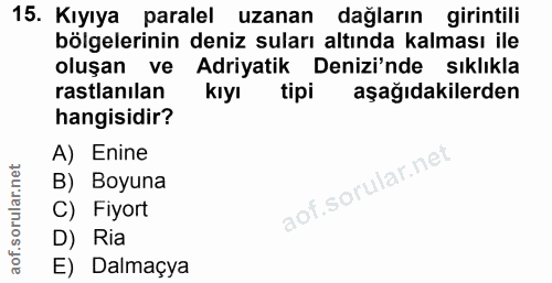 Soru 15