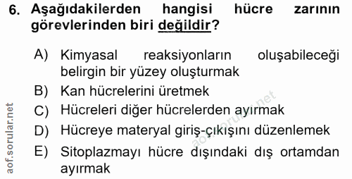 Soru 6