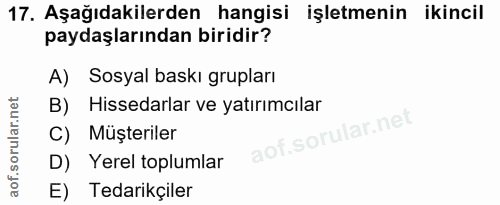 Soru 17