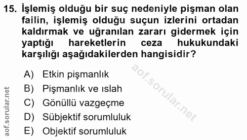Soru 15