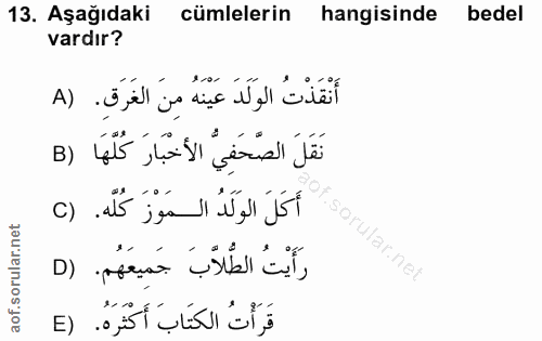 Soru 13