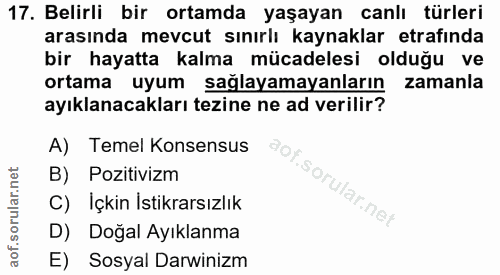 Soru 17