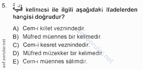 Soru 5