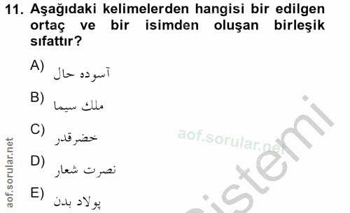 Soru 11