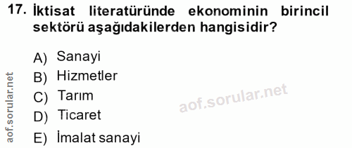 Soru 17