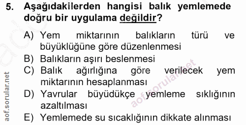 Soru 5
