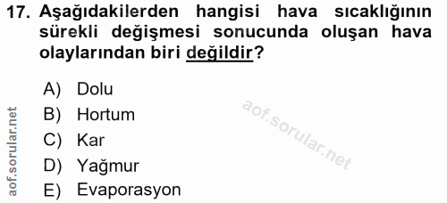 Soru 17