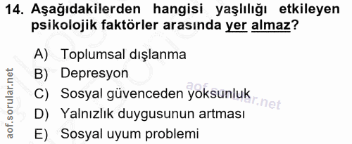 Soru 14