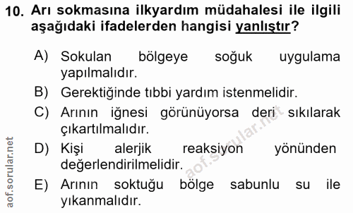 Soru 10