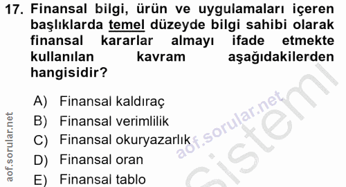Soru 17