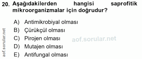 Soru 20