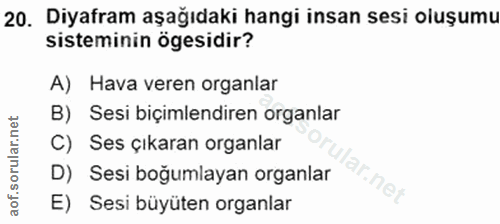 Soru 20
