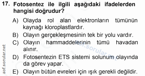Soru 17