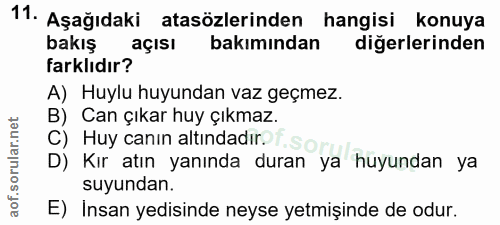 Soru 11