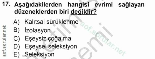 Soru 17