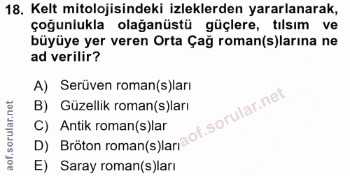 Soru 18